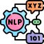 Natural Language Processing (NLP)